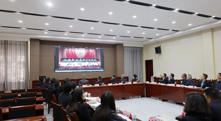 10-24050P921255N 2.jpg